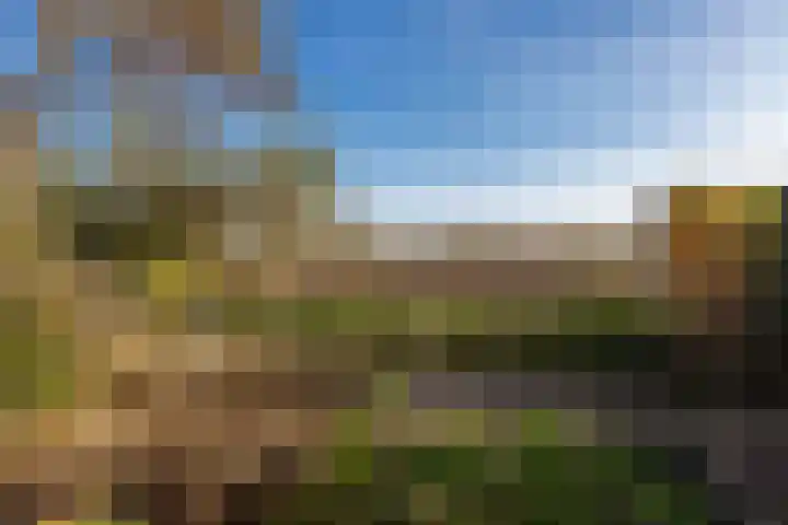 Randenborgweg 12 Nieuwstadt thumbnail 42