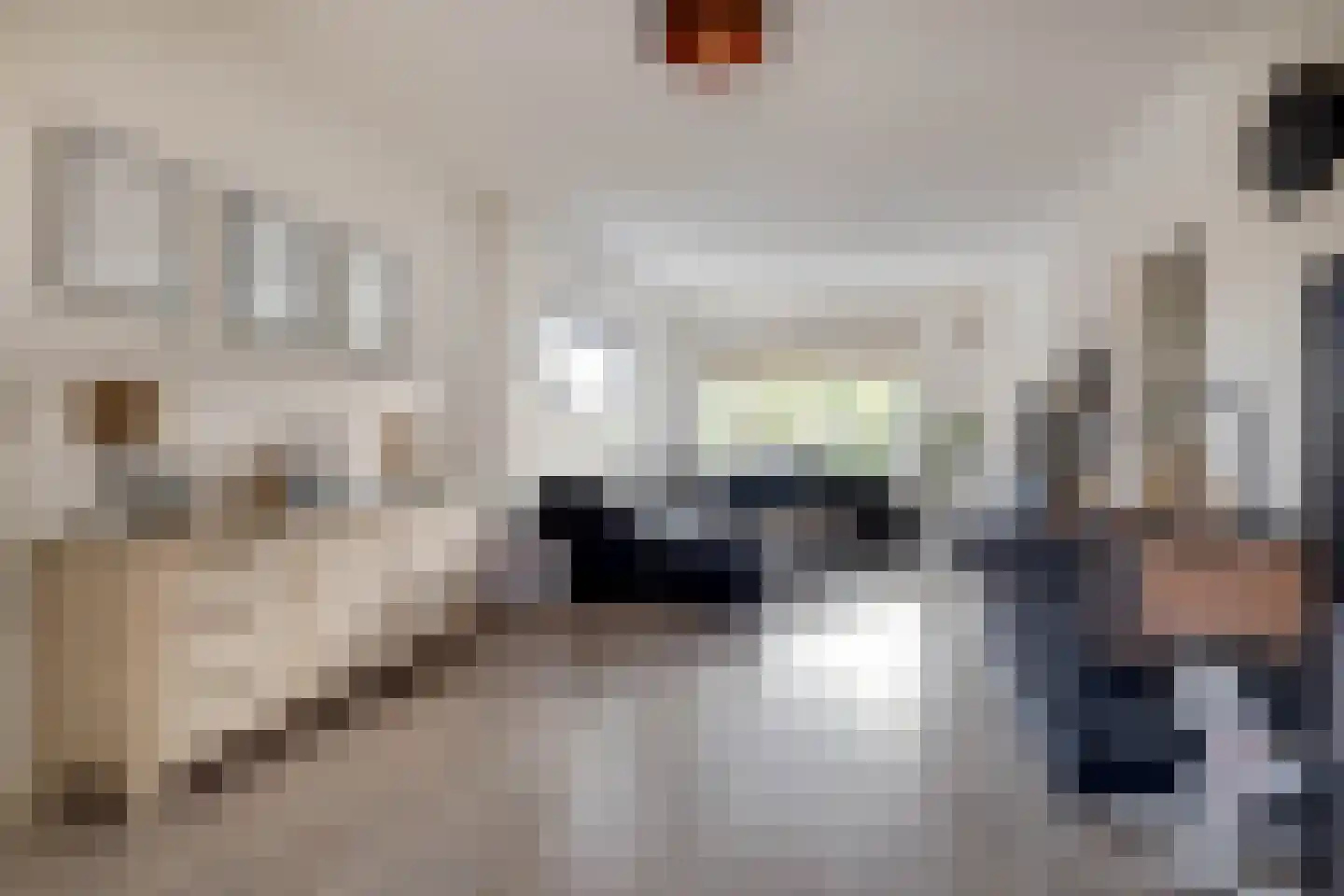 Randenborgweg 23 Nieuwstadt thumbnail 13
