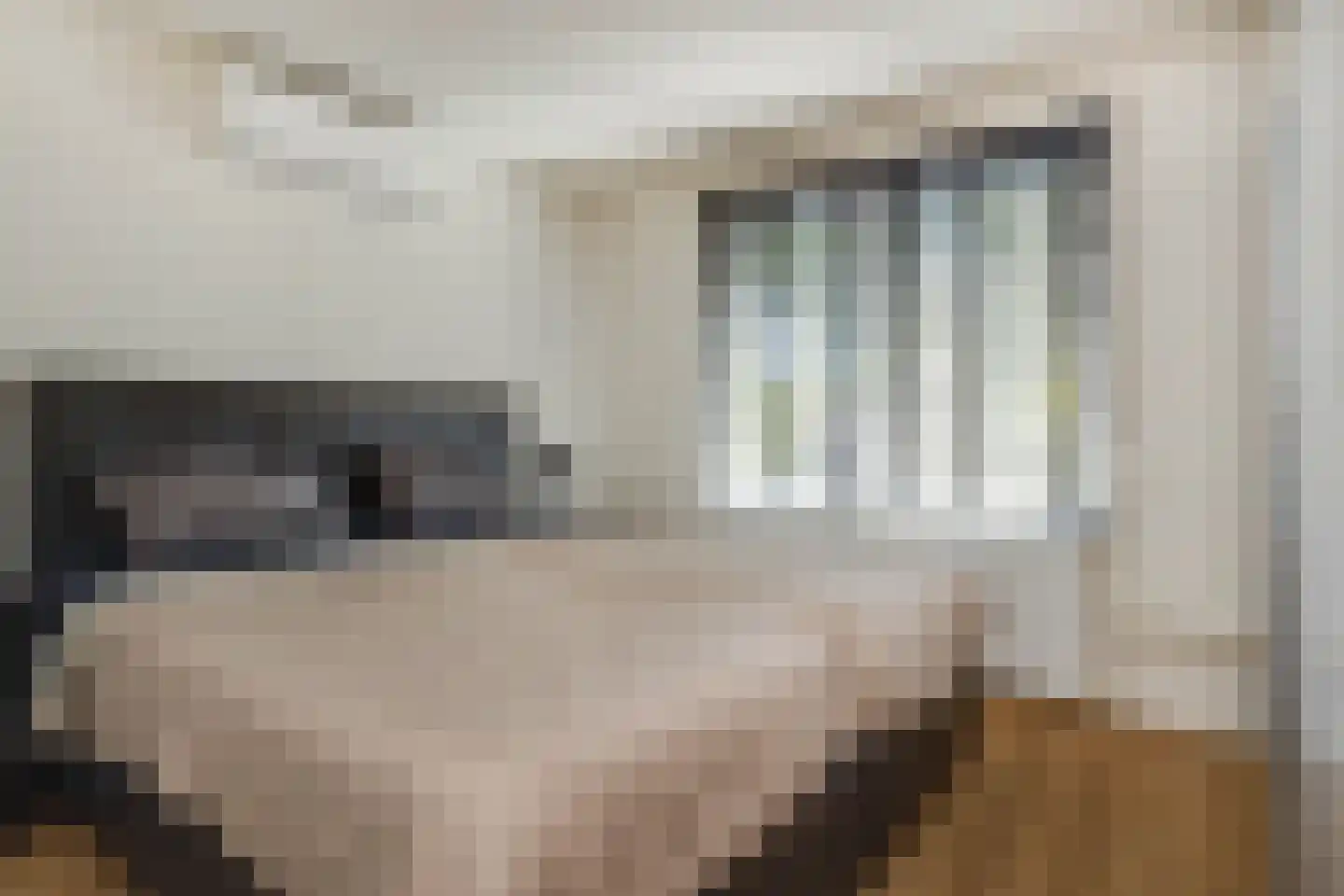 Randenborgweg 23 Nieuwstadt thumbnail 23