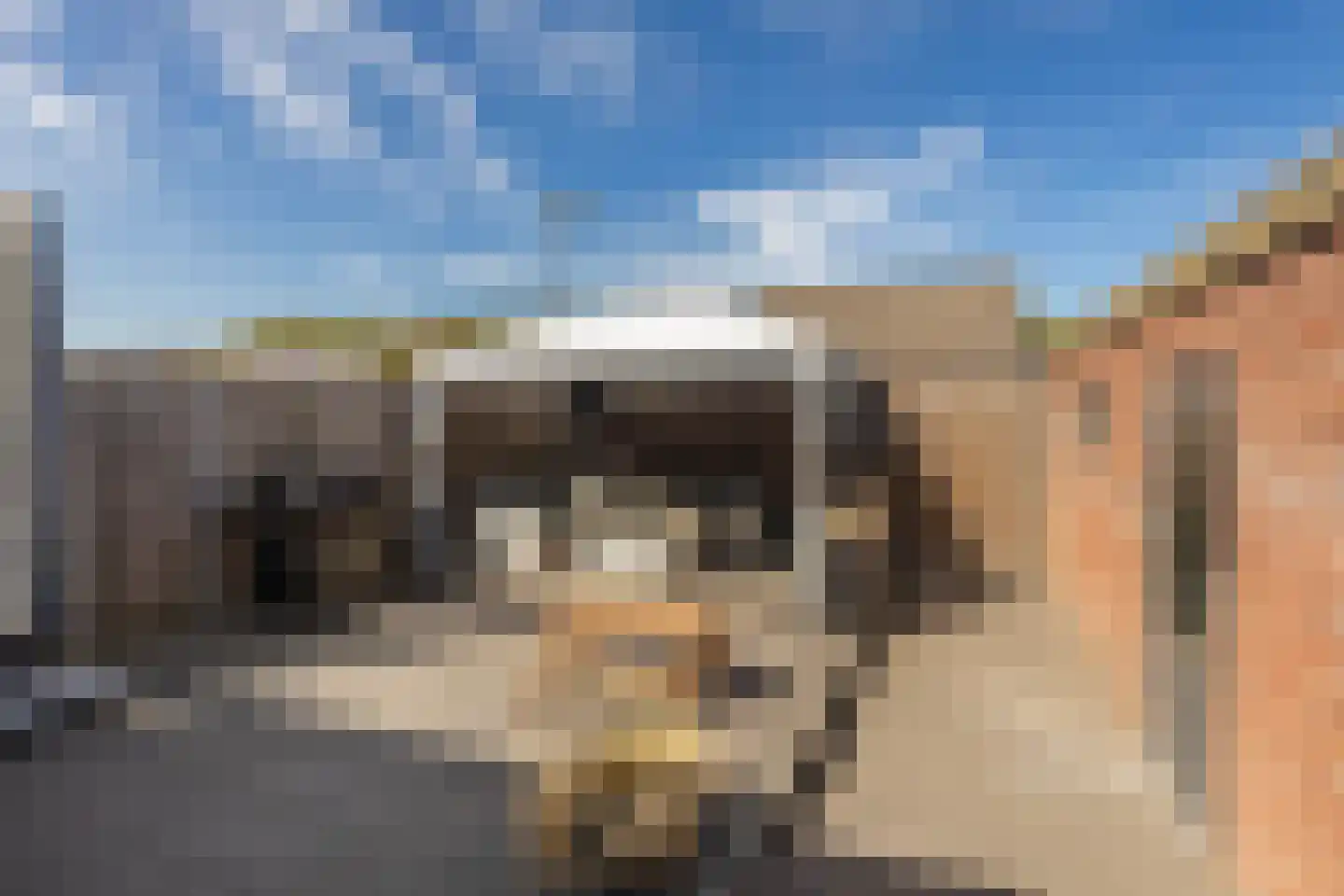 Randenborgweg 23 Nieuwstadt thumbnail 33