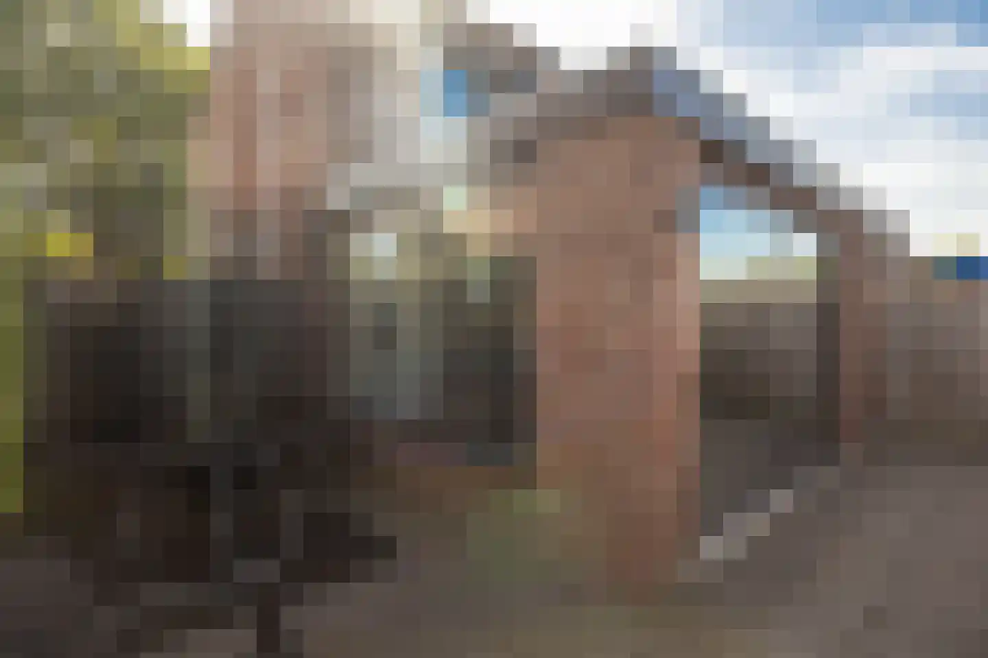 Randenborgweg 23 Nieuwstadt thumbnail 39