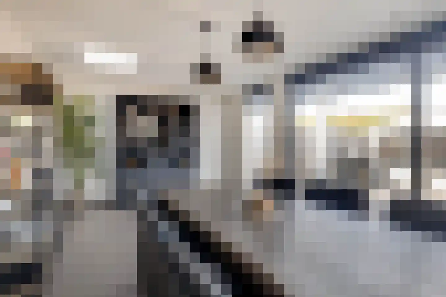 Randenborgweg 23 Nieuwstadt thumbnail 4
