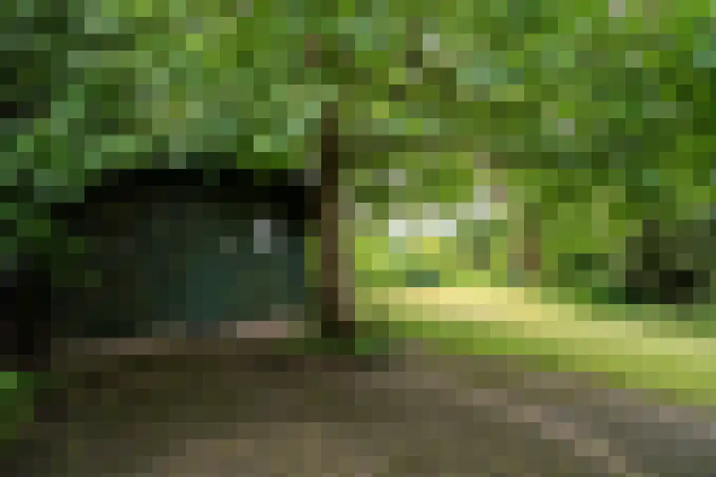 Randenborgweg 24 Nieuwstadt thumbnail 30