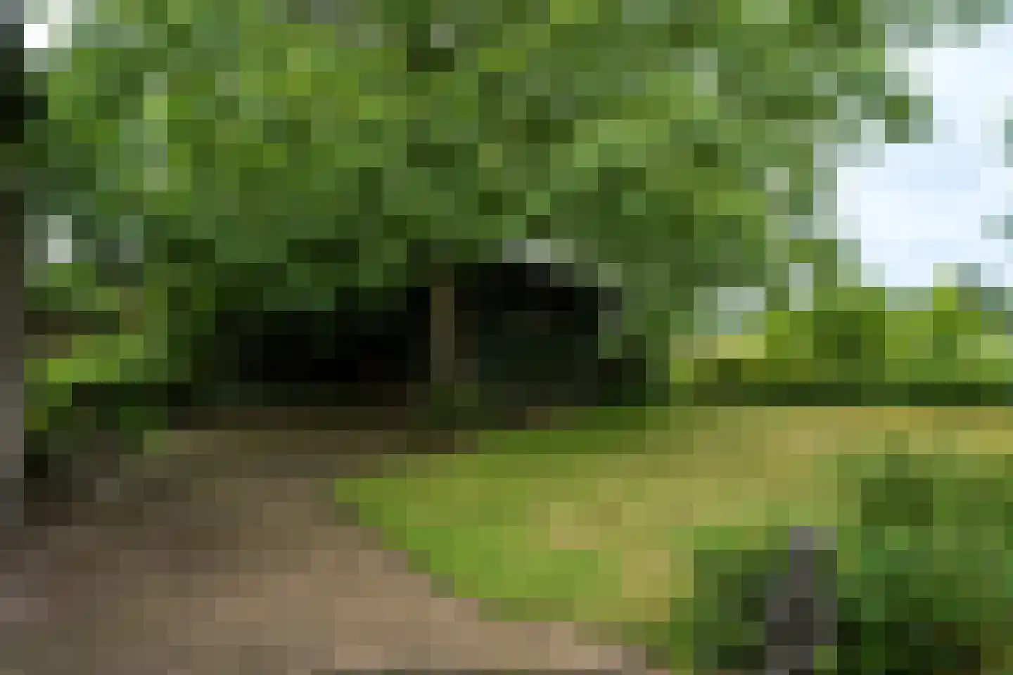Randenborgweg 24 Nieuwstadt thumbnail 31