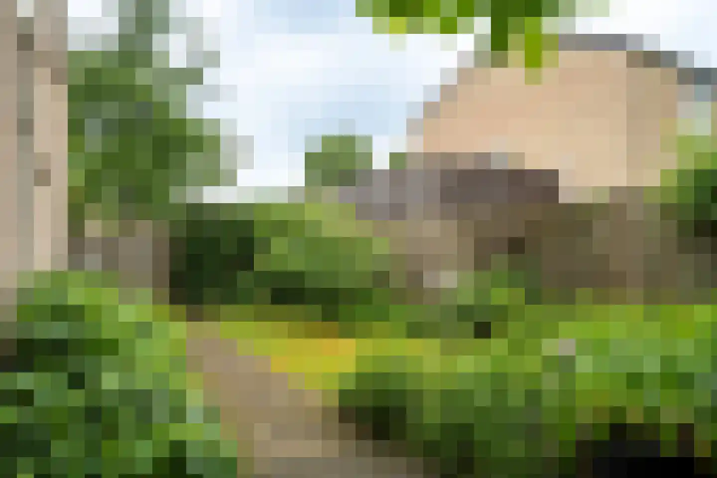 Randenborgweg 24 Nieuwstadt thumbnail 32