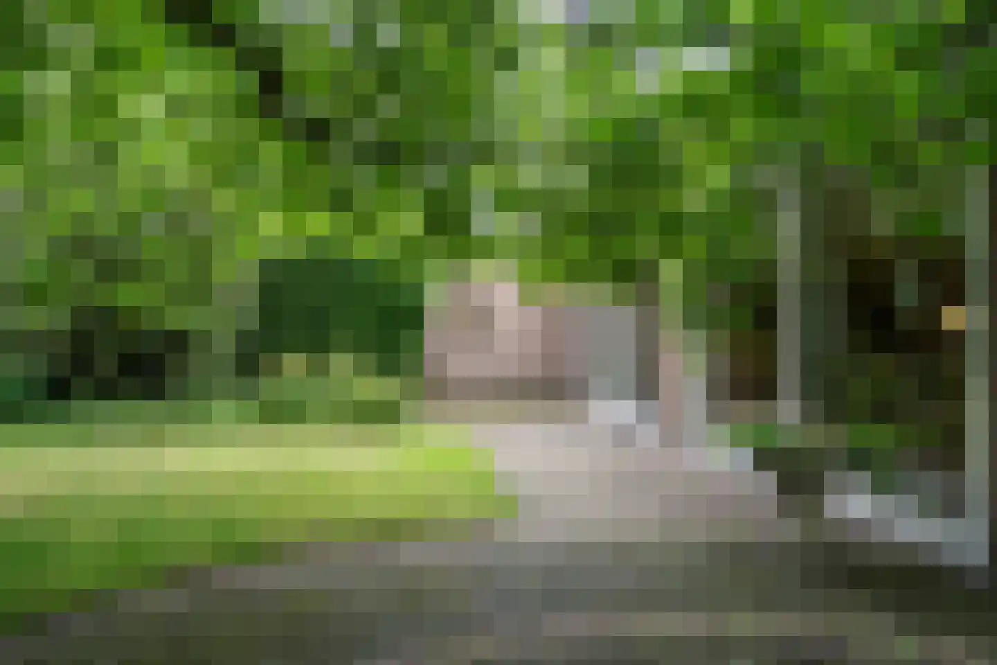 Randenborgweg 24 Nieuwstadt thumbnail 33
