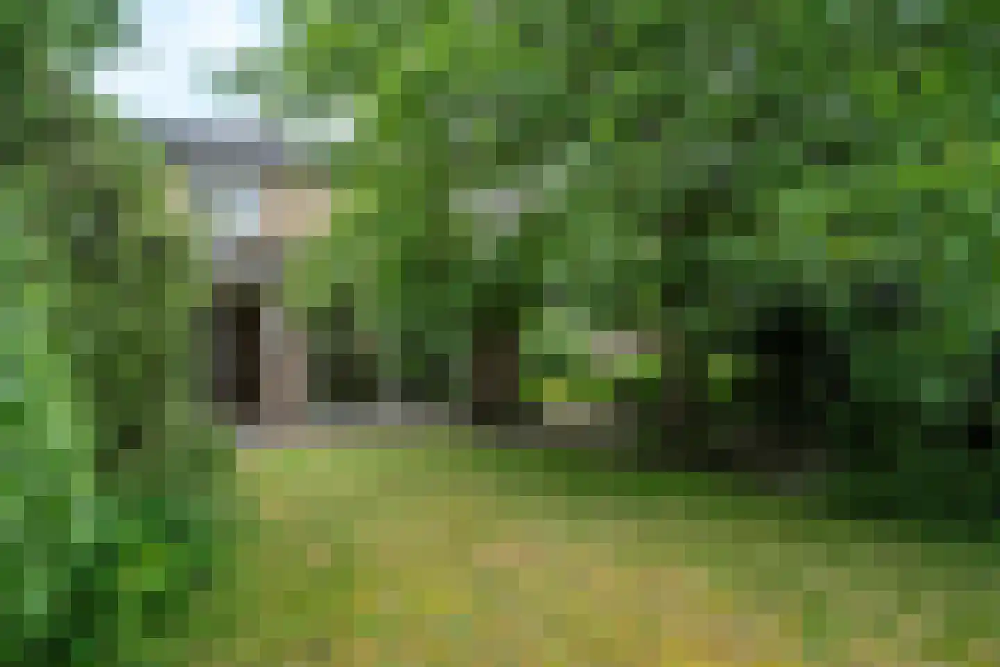 Randenborgweg 24 Nieuwstadt thumbnail 34