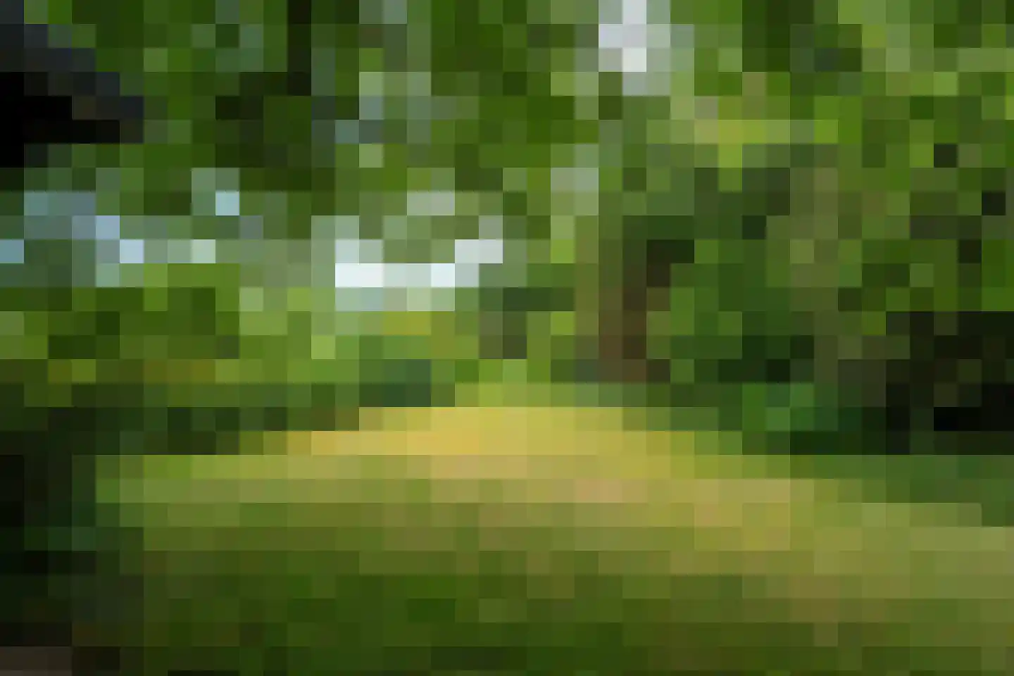 Randenborgweg 24 Nieuwstadt thumbnail 36