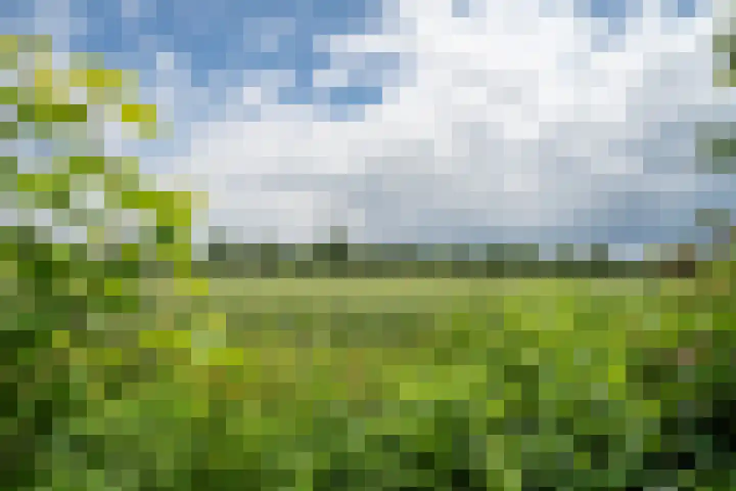 Randenborgweg 24 Nieuwstadt thumbnail 5