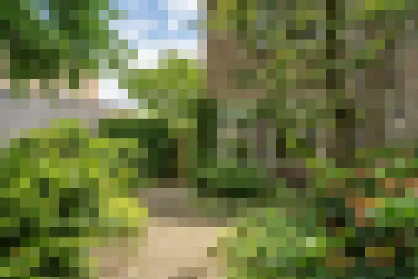 Randenborgweg 24 Nieuwstadt thumbnail 8