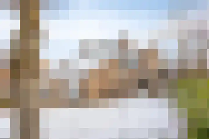 Randenborgweg 46 Nieuwstadt