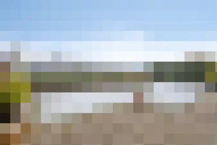 Randenborgweg 46 Nieuwstadt thumbnail 31