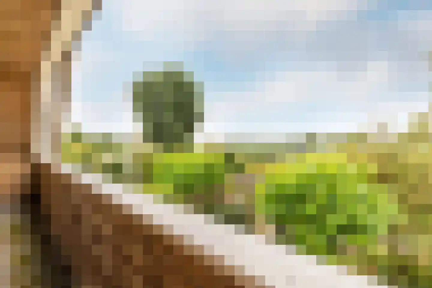 Randenburgseweg 19 a Reeuwijk thumbnail 33