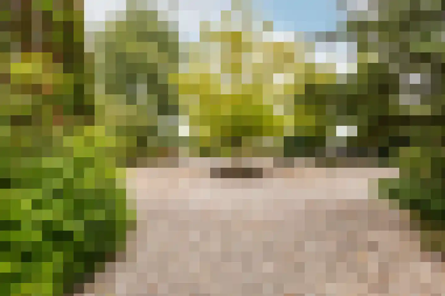 Randenburgseweg 19 a Reeuwijk thumbnail 40