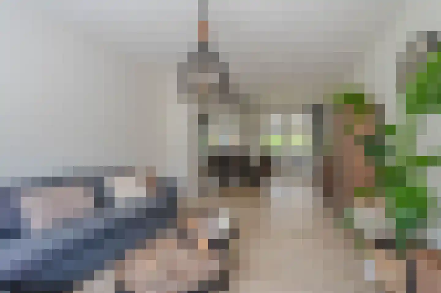 Randenrade 19 Oostrum thumbnail 10
