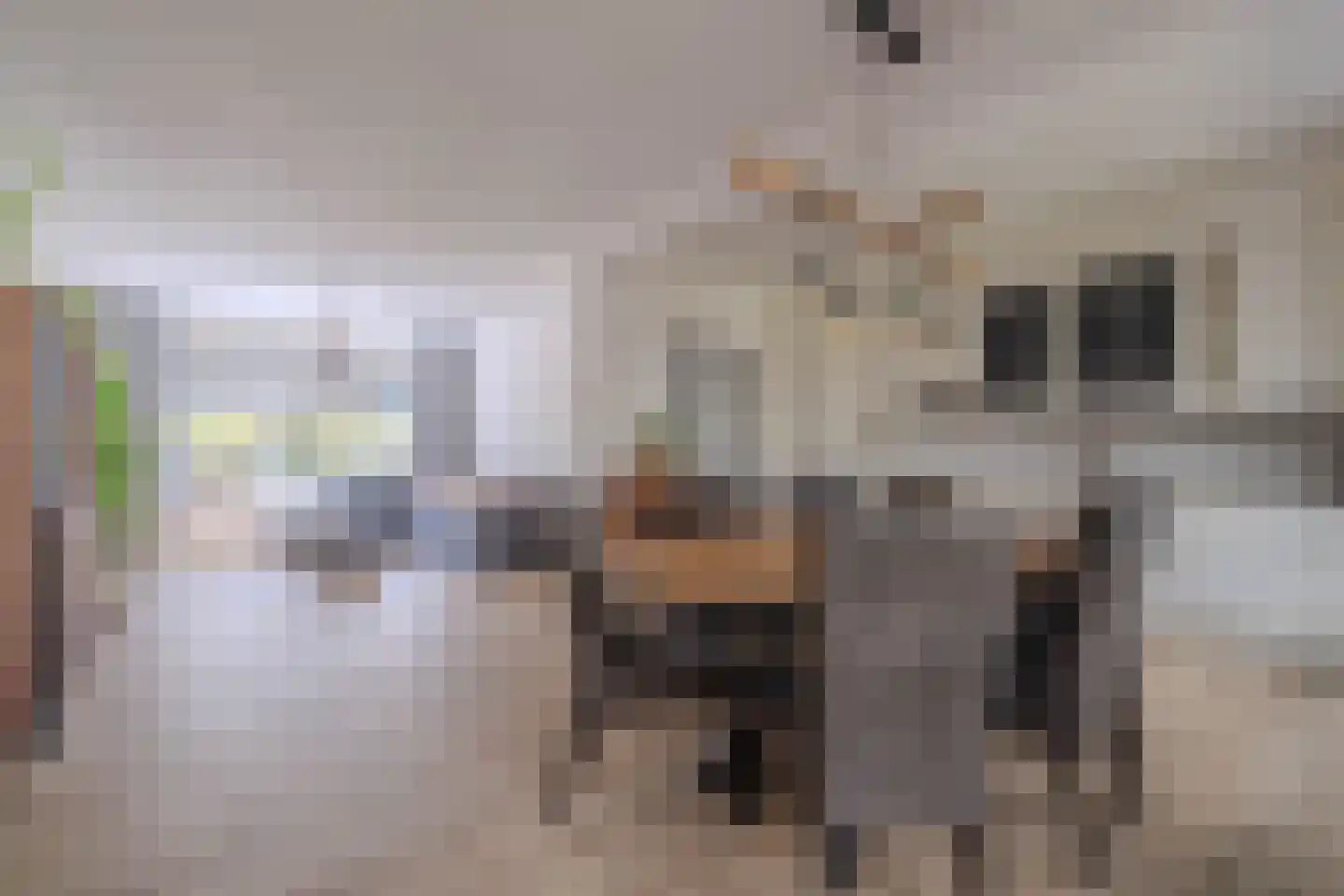 Randenrade 19 Oostrum thumbnail 13