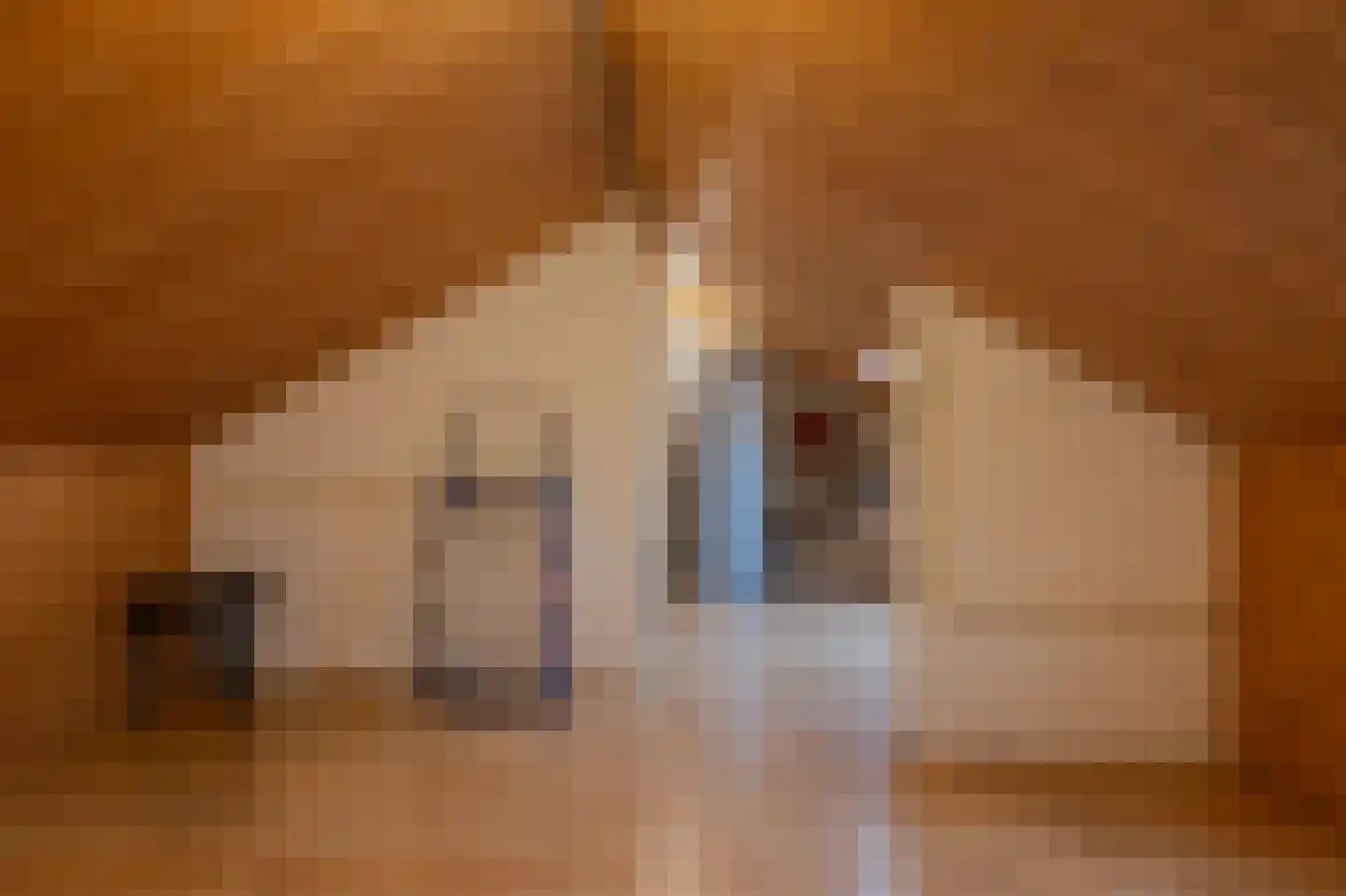 Randenrade 19 Oostrum thumbnail 28