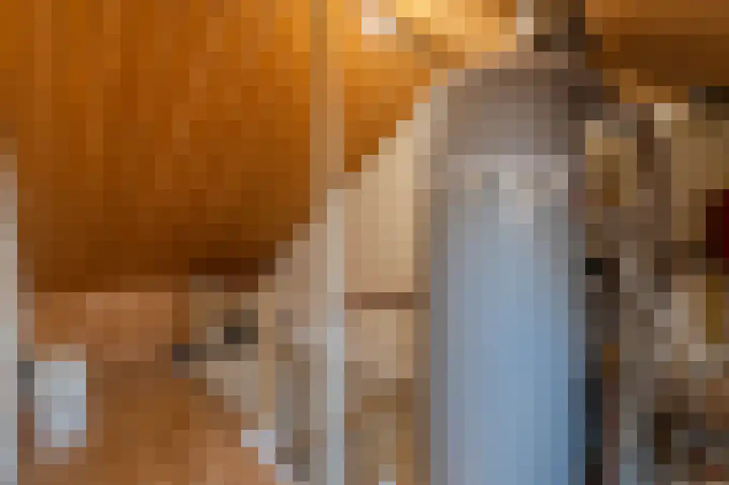 Randenrade 19 Oostrum thumbnail 29