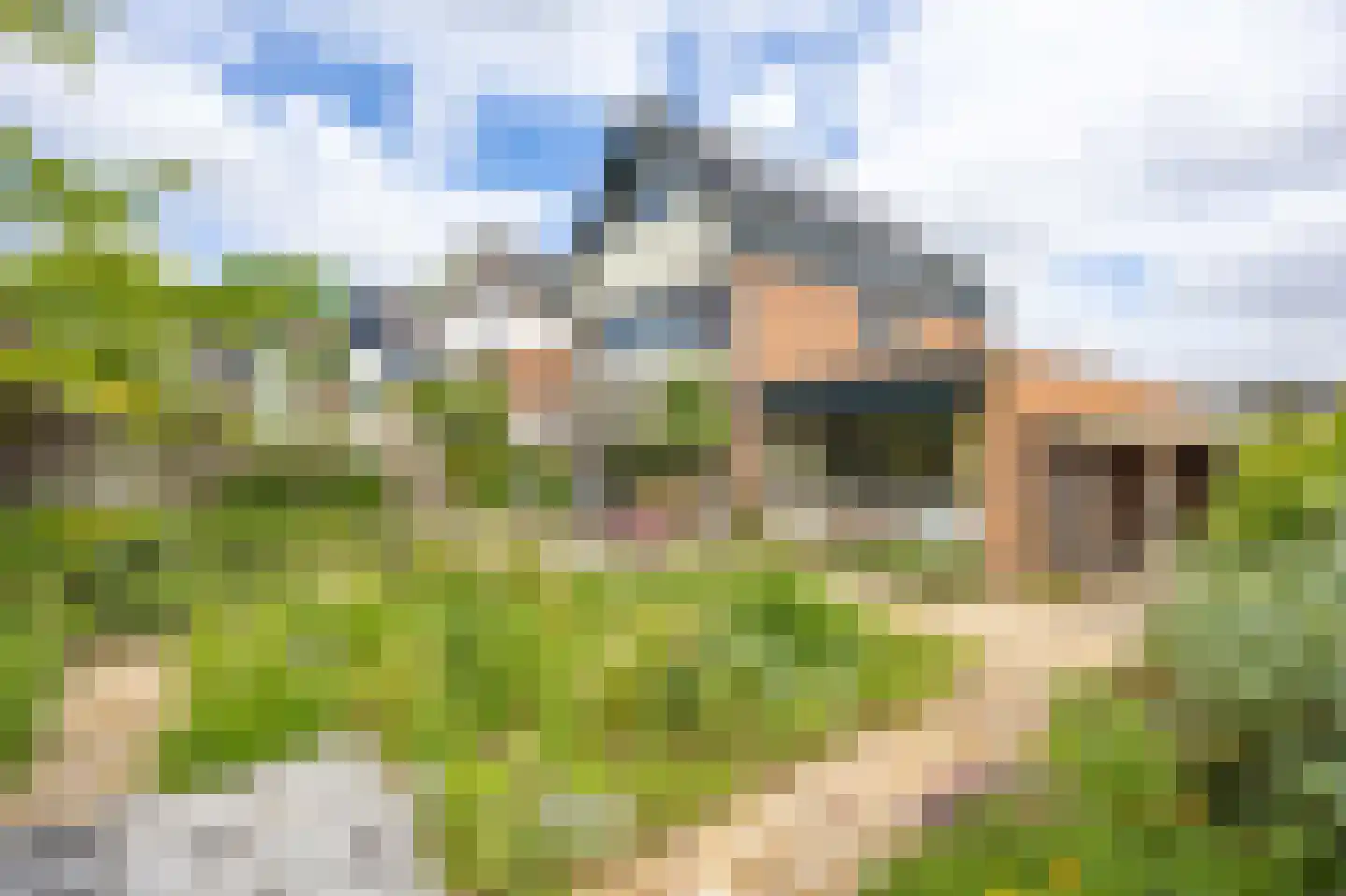Randenrade 40 Oostrum thumbnail 38