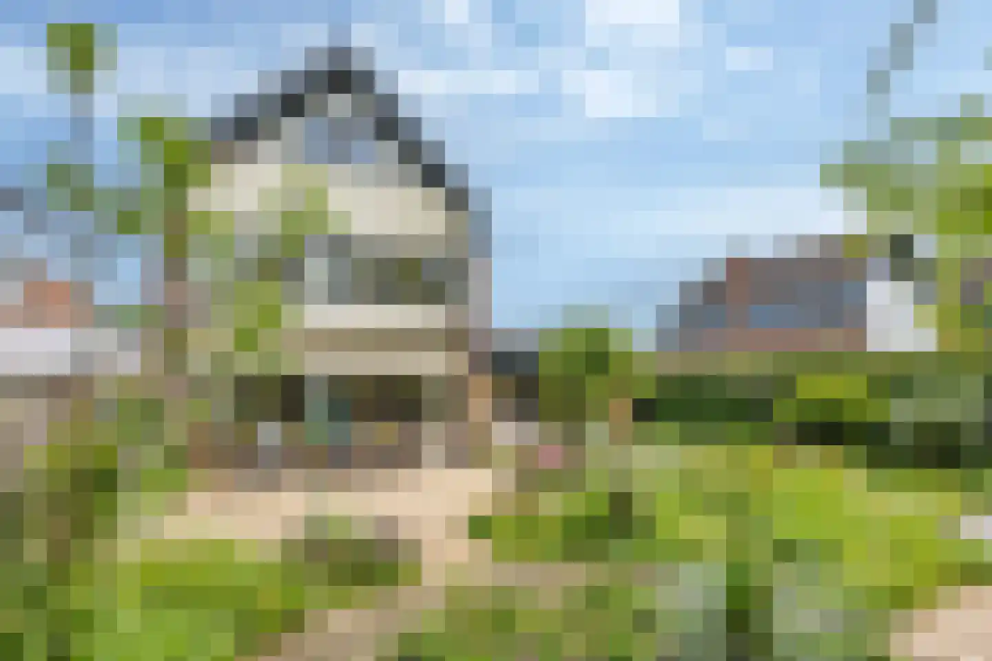 Randenrade 40 Oostrum thumbnail 39