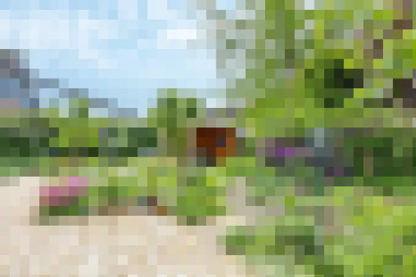 Randenrade 40 Oostrum thumbnail 41