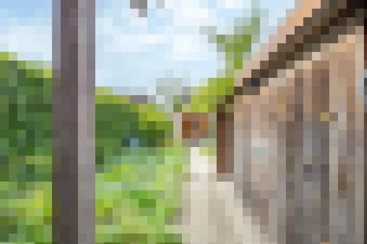 Randenrade 40 Oostrum thumbnail 42