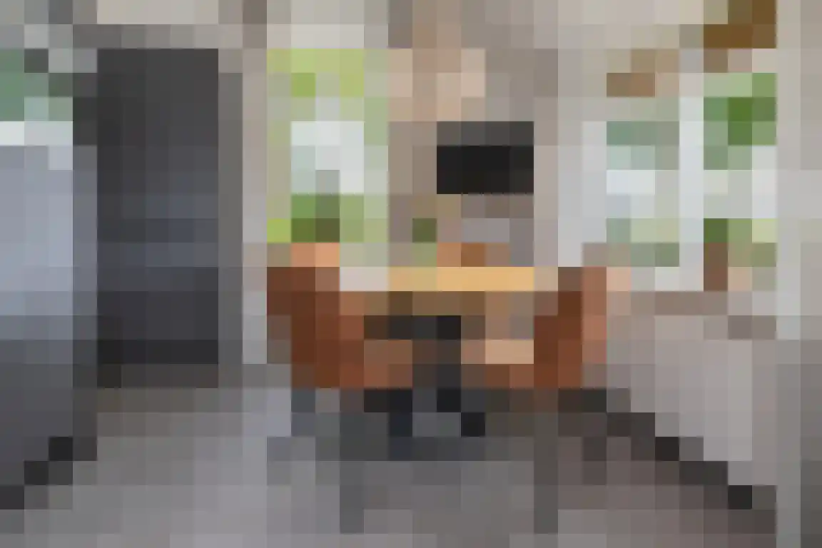 Randerstraat 18 Diepenveen thumbnail 11