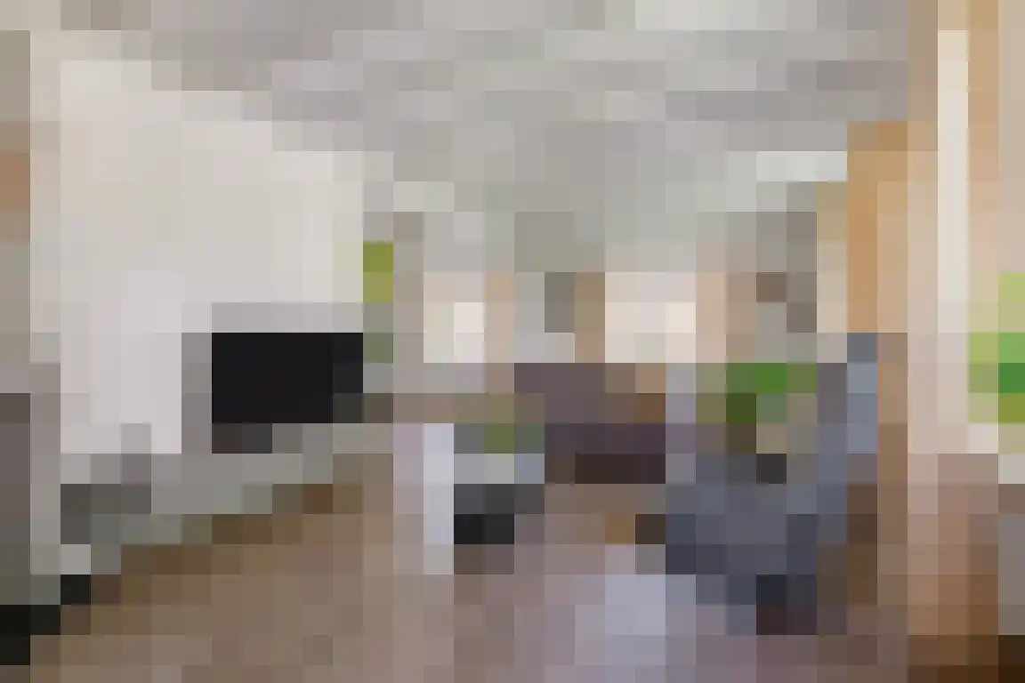 Randerstraat 18 Diepenveen thumbnail 14