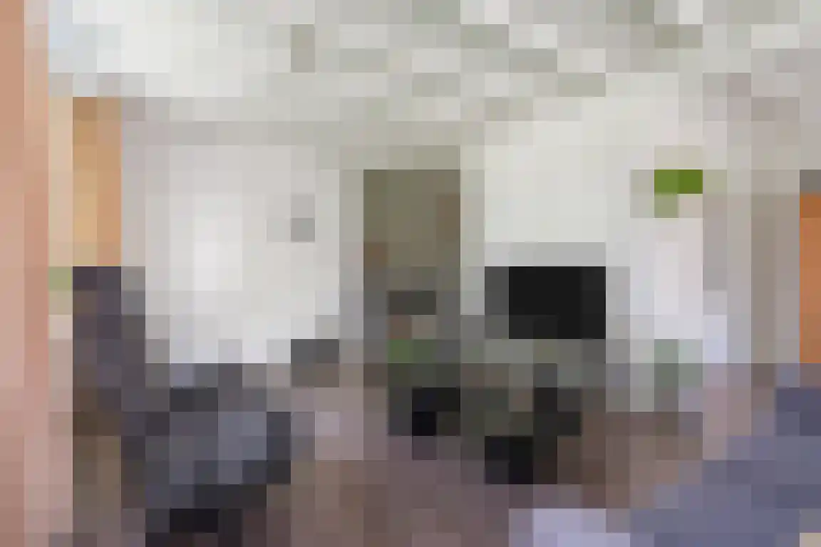 Randerstraat 18 Diepenveen thumbnail 15