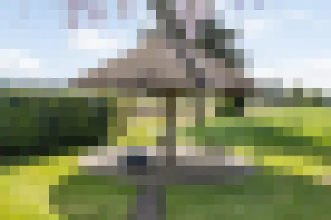 Randerstraat 18 Diepenveen thumbnail 24