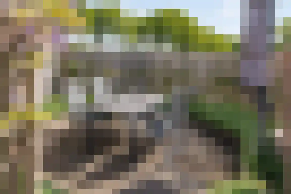 Randerstraat 18 Diepenveen thumbnail 25