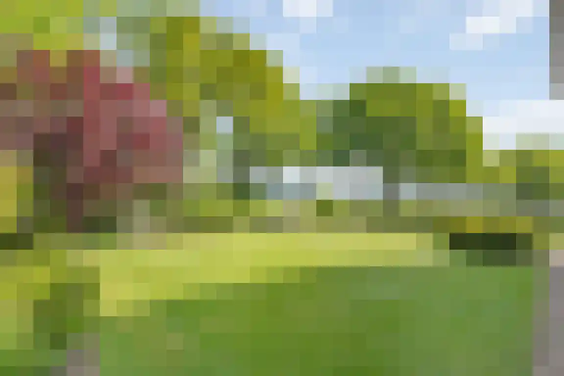 Randerstraat 18 Diepenveen thumbnail 27