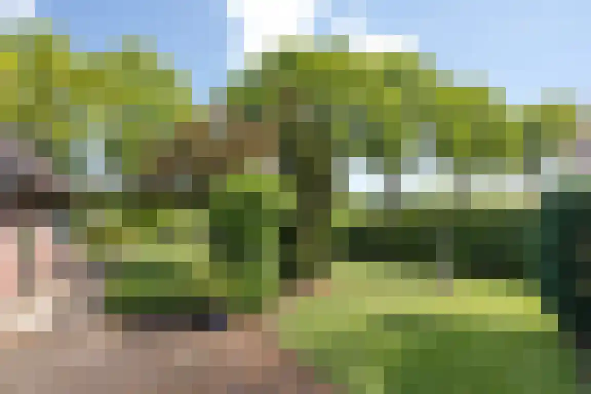 Randerstraat 18 Diepenveen thumbnail 28