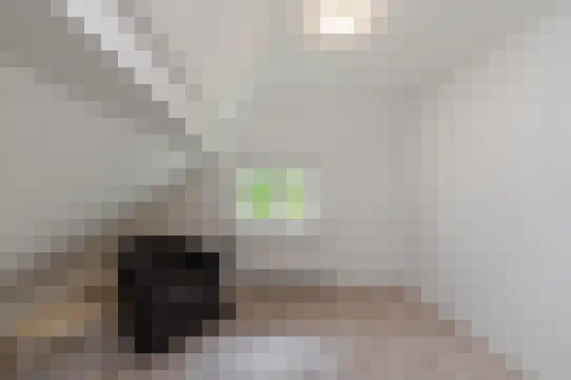 Randerstraat 18 Diepenveen thumbnail 30