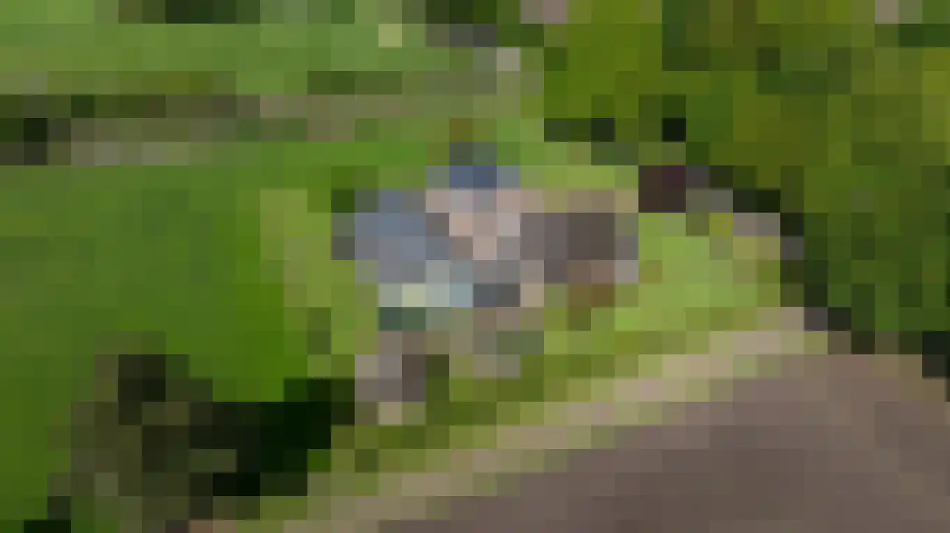 Randerstraat 18 Diepenveen thumbnail 36