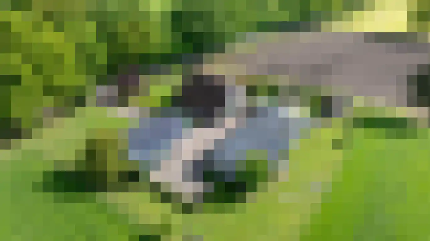 Randerstraat 18 Diepenveen thumbnail 37