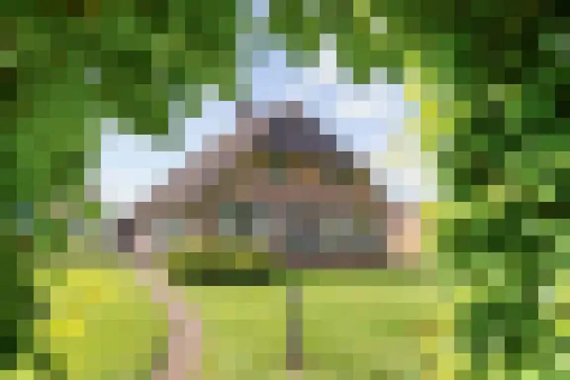 Randerstraat 18 Diepenveen thumbnail 4