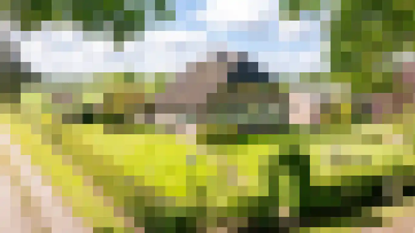 Randerstraat 18 Diepenveen thumbnail 5