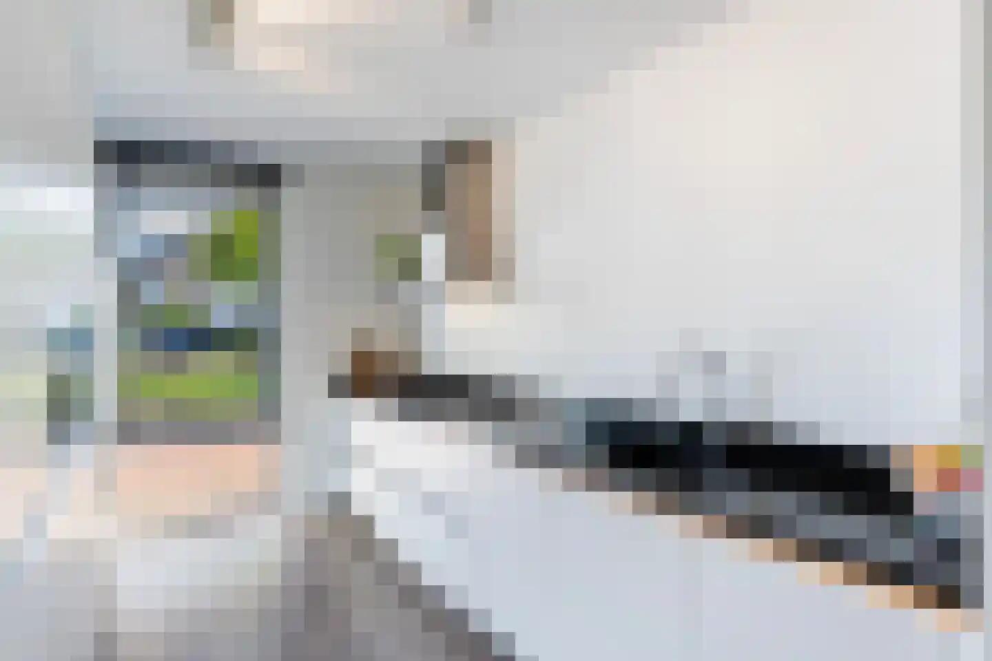 Randestraat 13 Zwolle thumbnail 11