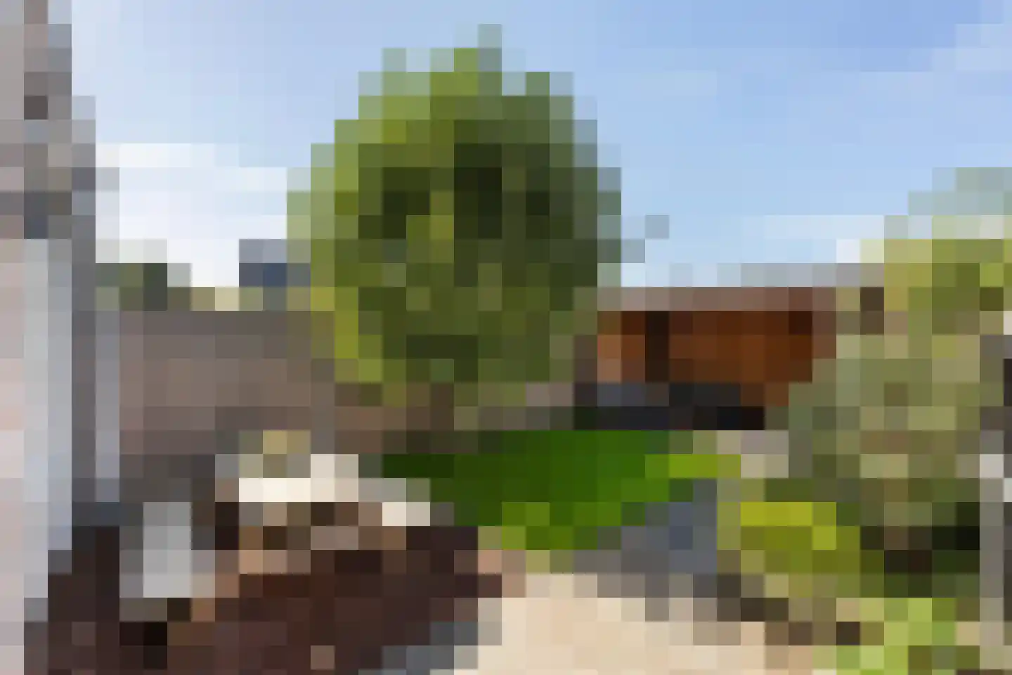 Randestraat 13 Zwolle thumbnail 13