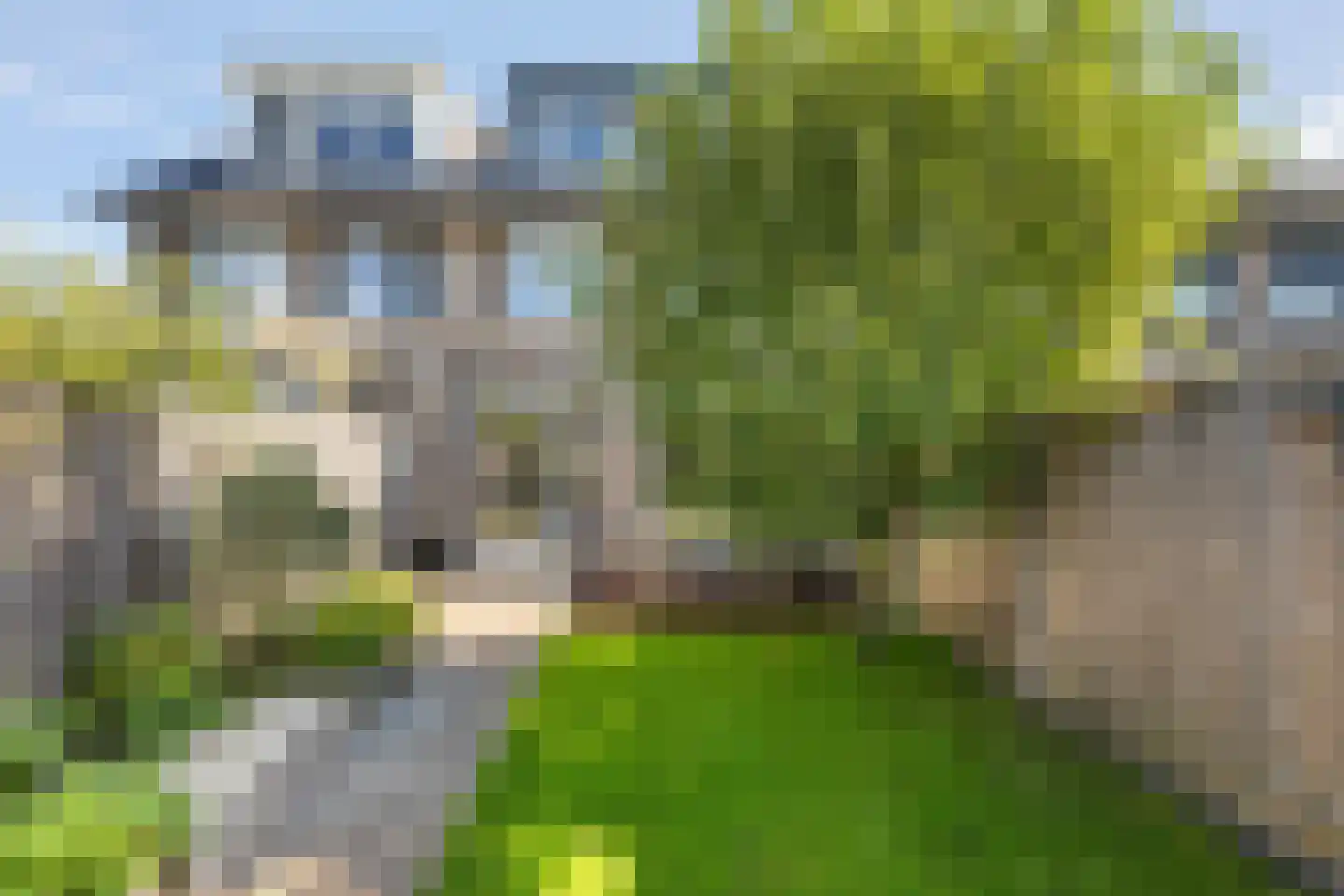 Randestraat 13 Zwolle thumbnail 14