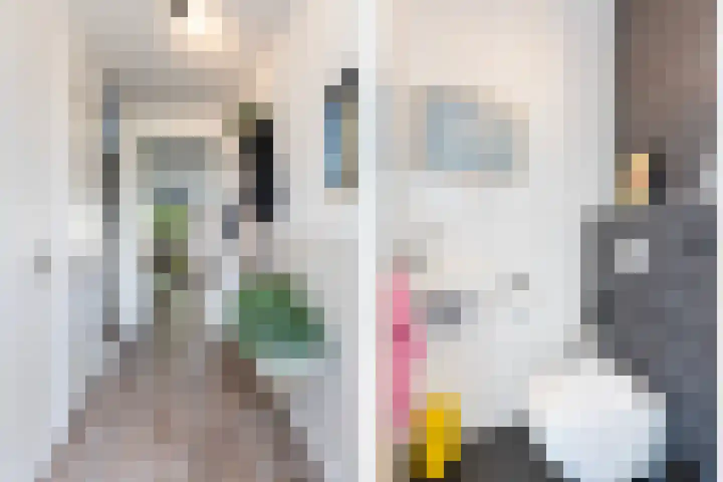 Randestraat 13 Zwolle thumbnail 17