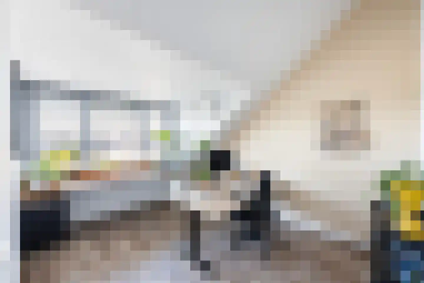 Randestraat 13 Zwolle thumbnail 29