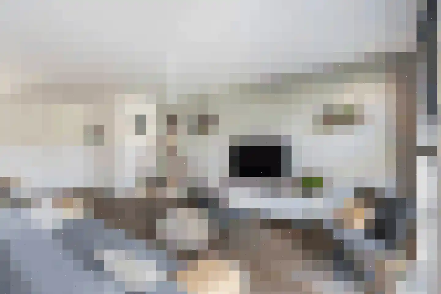 Randestraat 13 Zwolle thumbnail 5