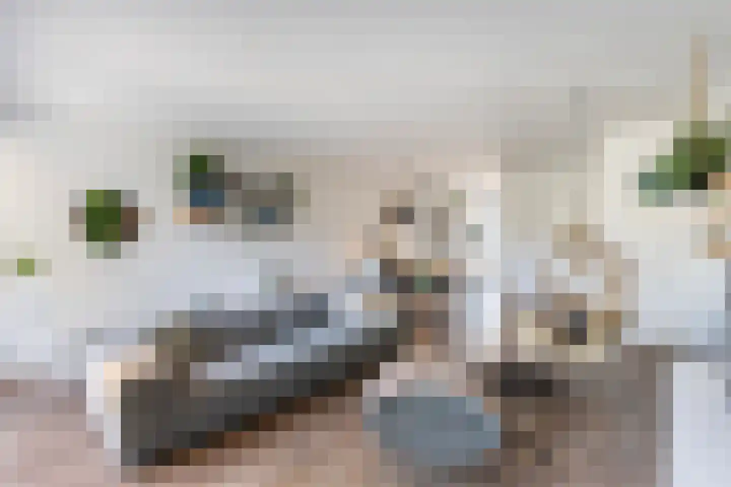 Randestraat 13 Zwolle thumbnail 7
