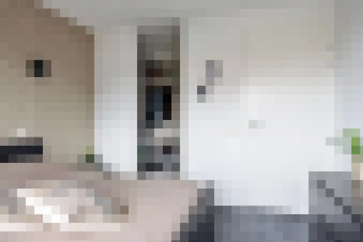 Randestraat 29 Zwolle thumbnail 23
