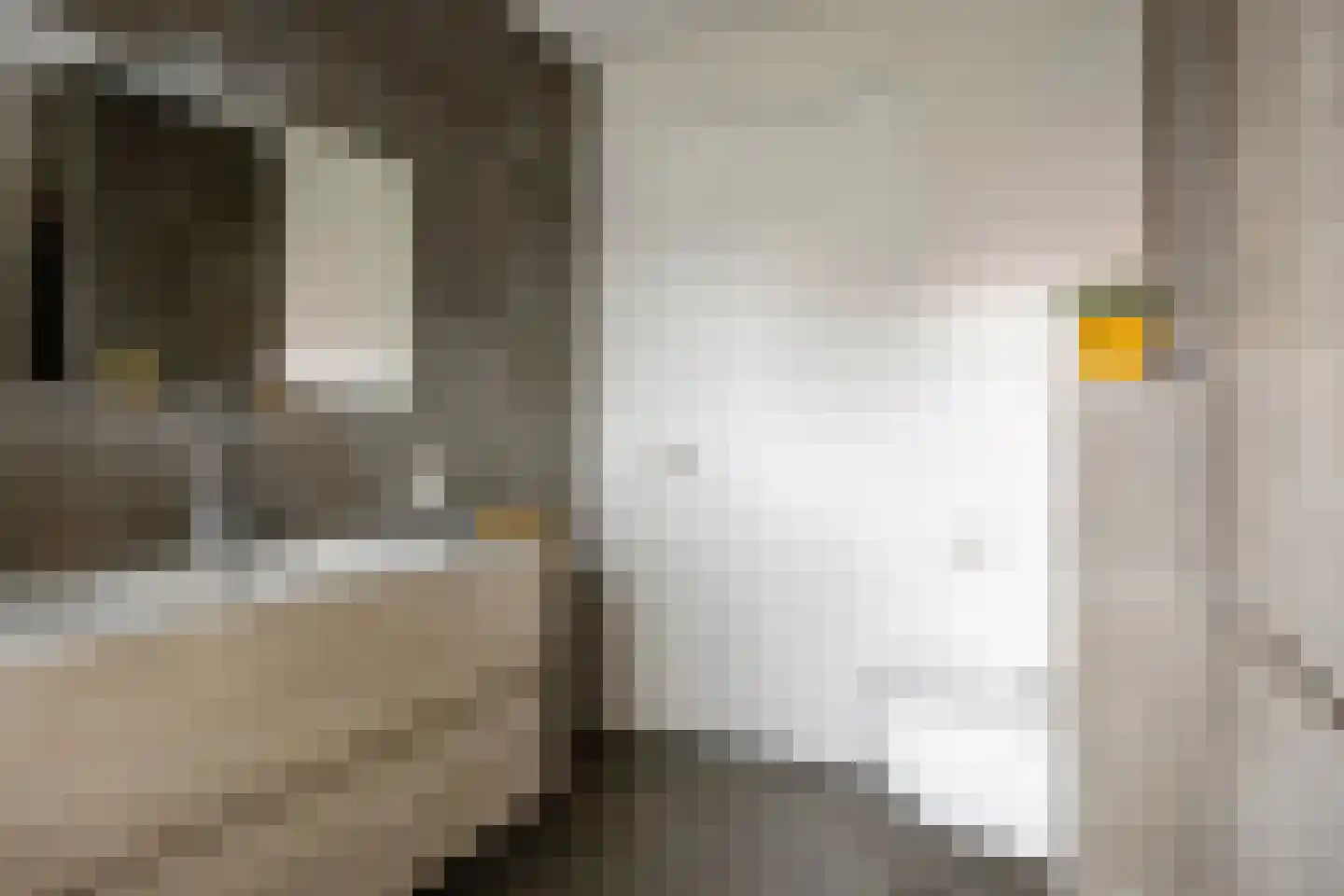 Randestraat 29 Zwolle thumbnail 27