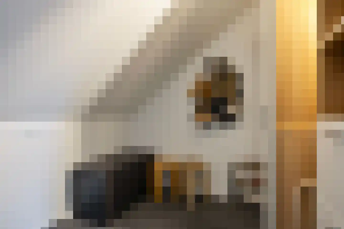 Randestraat 29 Zwolle thumbnail 32