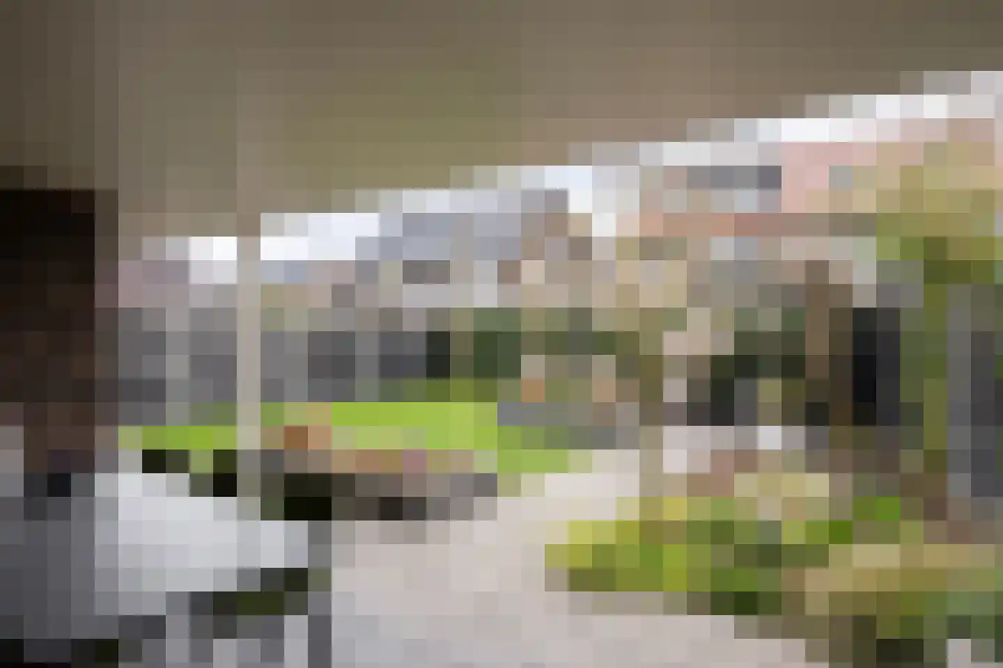 Randestraat 29 Zwolle thumbnail 33