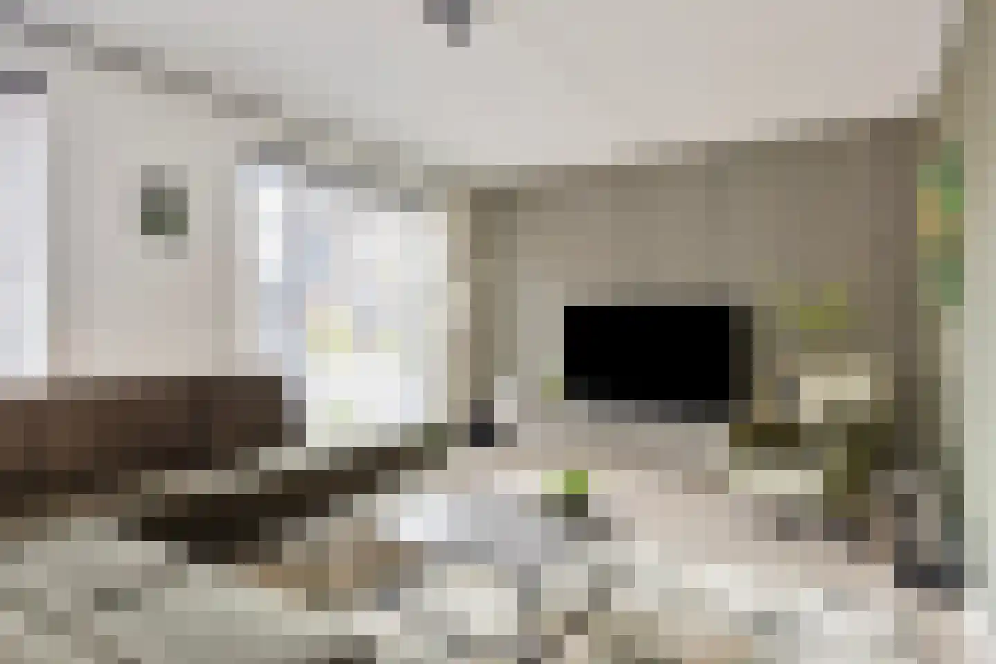 Randestraat 29 Zwolle thumbnail 5